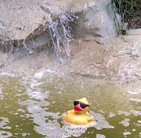 IMG_20160719_143417564_HDR