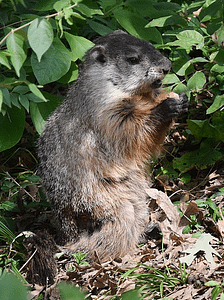 By Andy Reago & Chrissy McClarren