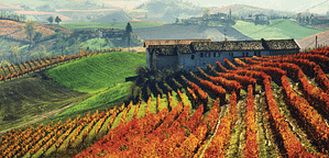 italy_sv