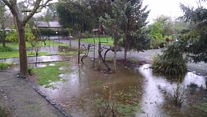 IMG_20170209_094131676