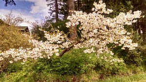 IMG_20170420_133619651_HDR