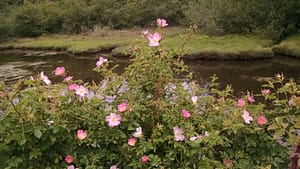 IMG_20170614_123946116