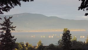 reefnetters in the morning