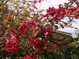 IMG_20170420_130344516