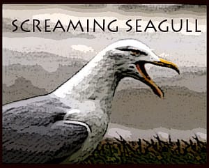 seagull-logo4