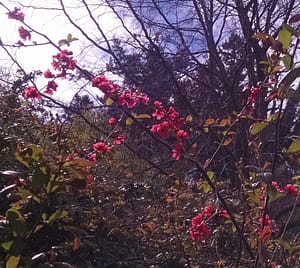 IMG_20170420_130332081