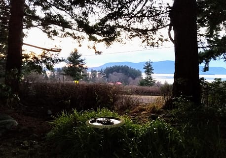 january view