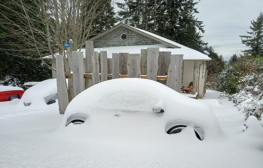 snowbug